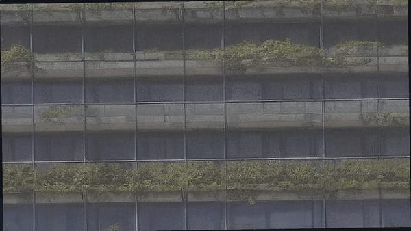 RaveDAO 代币在 7 天内飙升 3765%，疑似拉高抛售